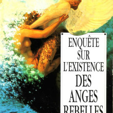 Enquête sur l'existence des anges rebelles